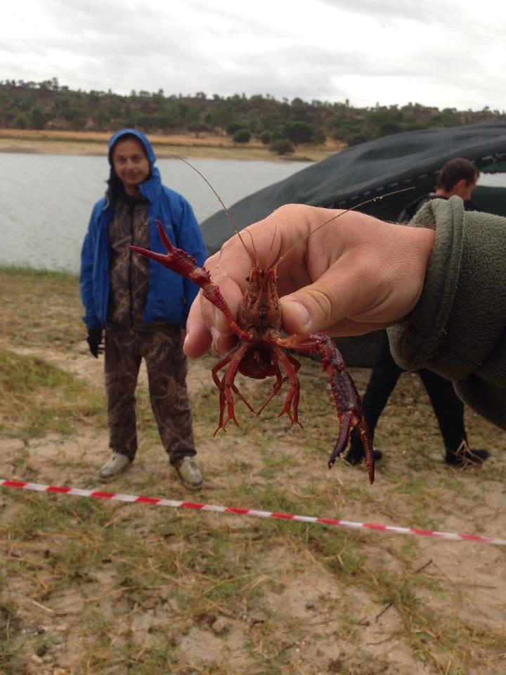 CM Portugalia - 2013 (5) - 121.jpg